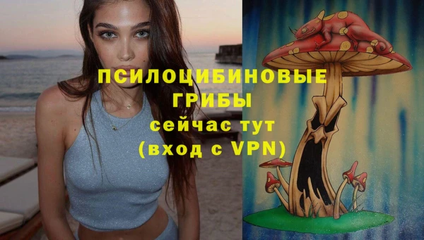 СК Алексеевка