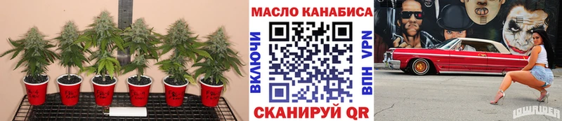 Дистиллят ТГК THC oil  Карабулак 