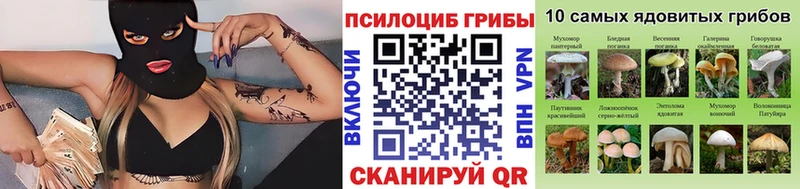 MEGA ссылка Карабулак Галлюциногенные грибы прущие грибы