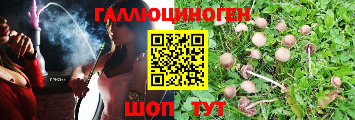 Псилоцибиновые грибы Magic Shrooms Карабулак